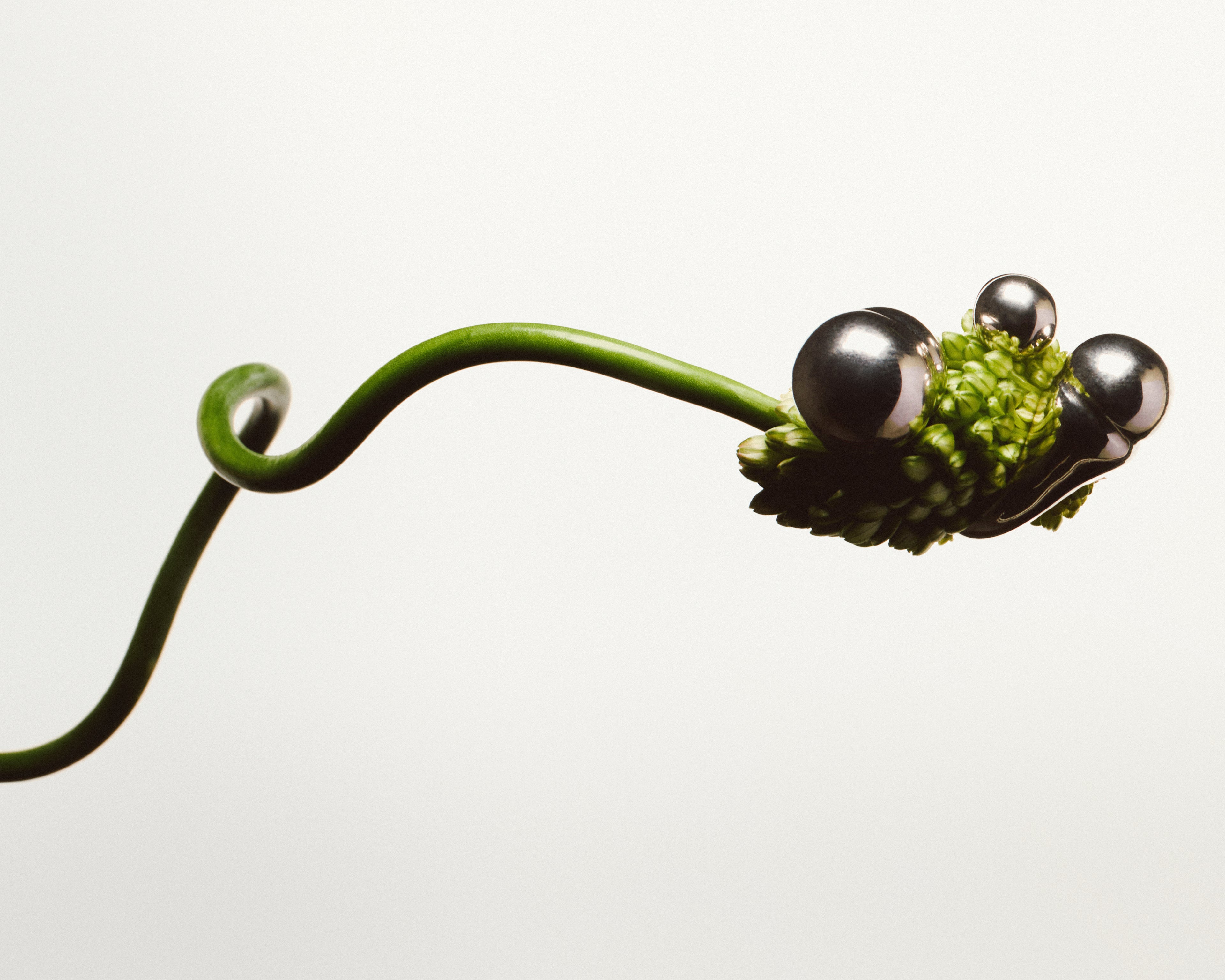 Genesis MUTAGENE