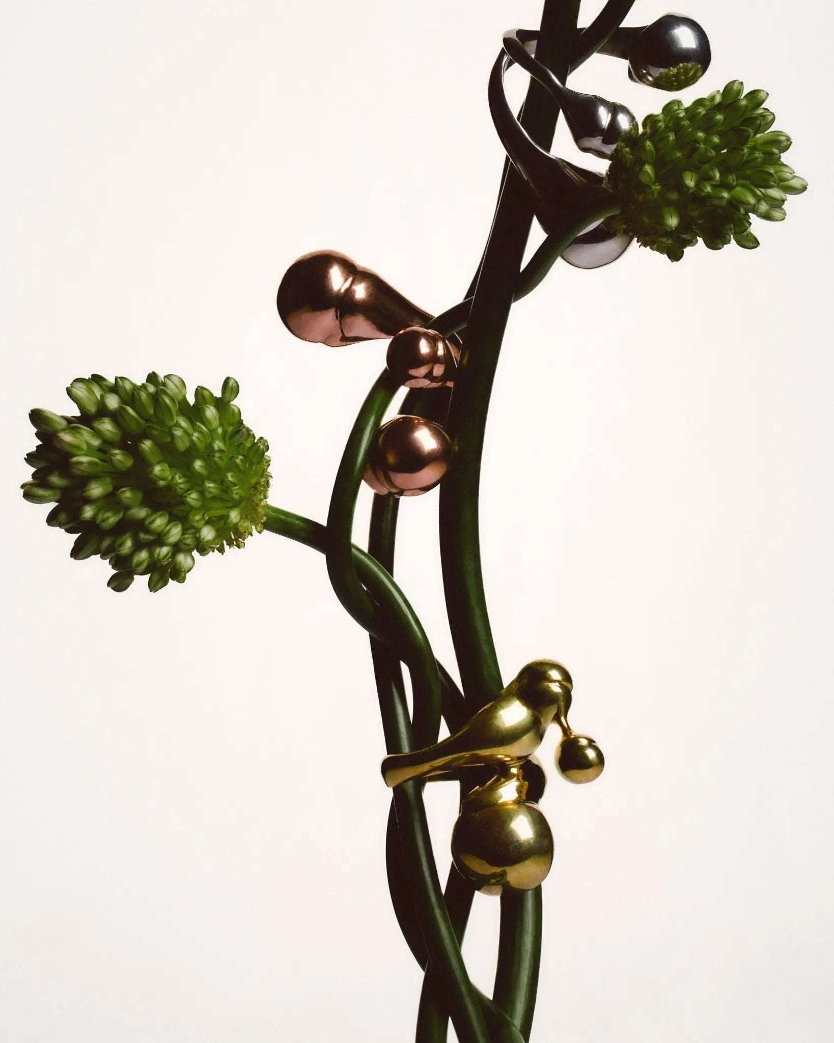 Genesis MUTAGENE